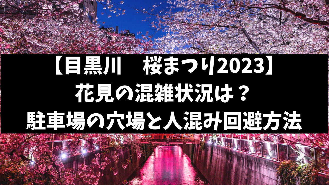 目黒川2023花見の混雑状況は？駐車場の穴場や人混みを避ける方法を紹介！