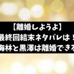 離婚しようよ最終回結末ネタバレ！最後は東海林大志と黒澤ゆいは離婚できる？